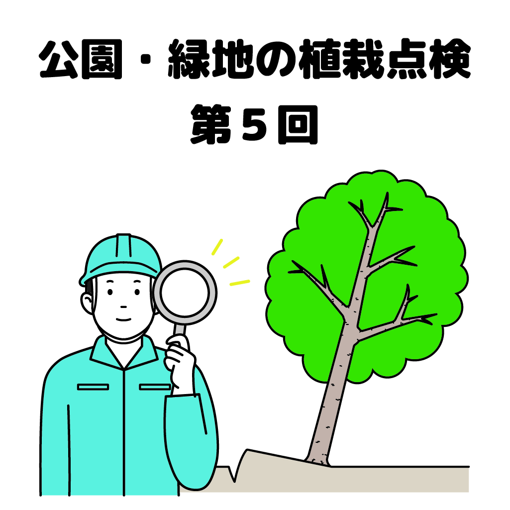 街の樹木NewsLetter Vol.17　3月号　公園・緑地の植栽点検シリーズ第5回－樹⽊の安全点検−倒⽊や落枝の危険を発⾒しよう！ その２−幹の揺れ・傾斜
